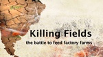 killing_fields1_002.jpg